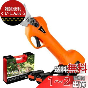 Kebtek d R[hX [d΂ y ^ѕ֗ doT~ uVX[^[ XpXpƐ؂ꖡǂ v |//ʎ/_ }؂ 2000mAh`Eobe[2