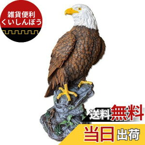 Revteds ̒uV 悯 Q΍  x_ JX XY Qb L  S~r炵 