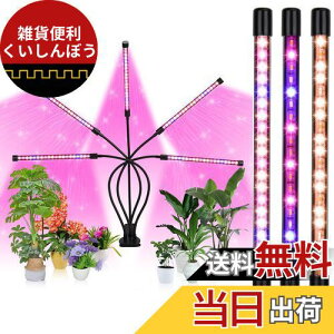 Hooha A琬Cg LED ACg 5wbh ͔|v ϗtA琬Cg 50W 100LEDv 莞@\ (3H / 6H / 12H) 5iK 360°\ 3̏Ɩp^[ k͔|v  ȃG