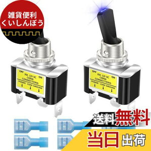 Kiligen bJ[CgtgOXCb` 2 12V 30A ϋv [VOJ[   SPST I/It gOXCb` LED C~l[V 12mm TCY (u[)