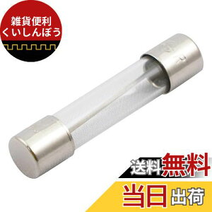 Gp(ELPA) KXǃq[Y q[Y z ی 250V 10A 30mm 2 TF-2100H