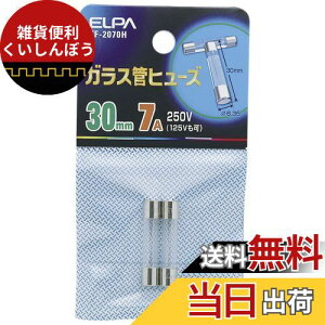 Gp (ELPA) KXǃq[Y30MM nfB 2 30mm 250V 7A Ւfd100A 6.35 TF-2070H