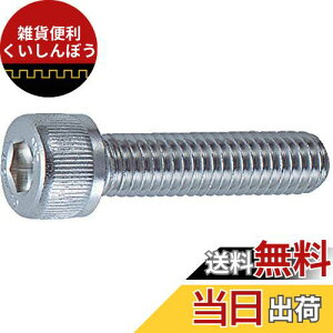 TRUSCO(gXR) Zpt{g XeXSlW M4×6 46{ B44-0406