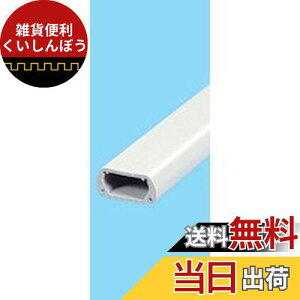 エルパ (ELPA) テープ付ABSモール 配線 モール 配線カバー 1m グレー 2号 2ゴウ グレー