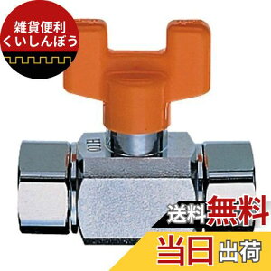 SANEI youE~z ibgt{[ou Ă13