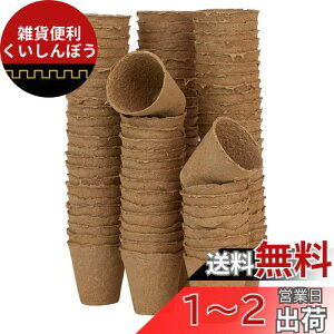 Skycabin Ԗ~?` 6cm 100Б DY|bgAcX^[^[Jbvۈ牀n[uq𐫃|bg