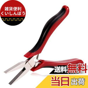 SPEEDWOX 平ペンチ 平ヤットコ CR-V鋼 マイクロ 小型 軽量 溝なし 精密作業 ジュエリー製作 ビーズ アクセサリー 手作り クラフト 手芸用品 ホビー DIY プロ 工具 123mm