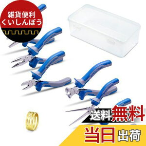 SPEEDWOX アクセサリー 基本工具 ミニプライヤーセット 6本組 収納ケース付 軽量 小型 バネ付 切断可能 精密作業 CR-V鋼 鍛造 強力刃 プロ キット ツール マイクロ 手作り 道具 ホビー クラフト