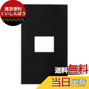 pi\jbN(Panasonic) SO-STYLE v[g1Rp }bgubN WNS6001B