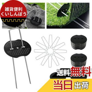 Donext UsY ەt 100{Zbg 15cm hV[g Œs V[g s lH 15*2.8*15cm