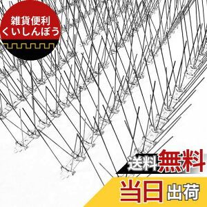 ONESORA 悯 悯 JX悯 XeX ƂƂV[g y 5mz ̑h~ 쒹̖h~ tQh~ ݒuȒP x_   ԏ TVAei㕔 Kp