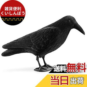 Navaris JX u 悯 ރObY - 悯ObY JX悯ObY Nh XY Q΍ - K[fjO C eAG