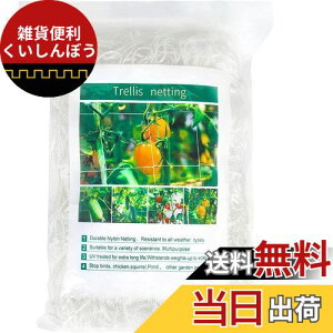 DERAYEE |lbg |pgl 1.67m×c5m 15cmԖ iq A