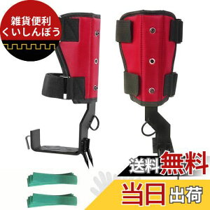 timiland ؓo2.0 AbvO[h ؓo蓹  2̒ AbvO[hꂽs[XXeb`AxNfUCA_ȒAȃXgbv[v ߉\ȃXg