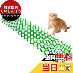 ONESORA L悯V[g L悯Ƃ}bg y495×140mm 12z ǔL Nh~ tQh~ LNh~