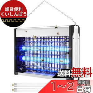 y2024N ᒎuށIz dE Sunnila  Cg 쏜 dE@ dC  UVzߒ 20W ͓dE RoG  nCp[d ᒎuԌ U铔 