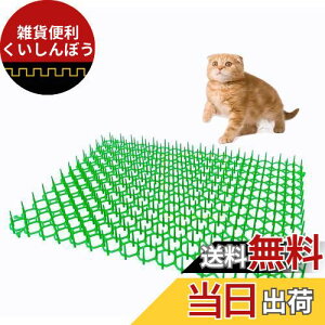 ONESORA L悯V[g L悯Ƃ}bg y415×340mm 10z ǔL Nh~ tQh~ LNh~