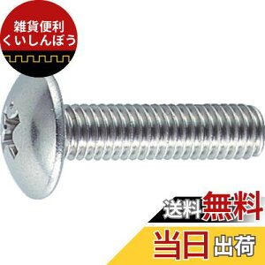 gXRR(TRUSCO) gX˂ XeX SlW B520625 M6×25 25{ x 10pbN x yP[X̔z