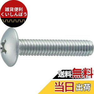 gXRR(TRUSCO) gX˂ SlW B7040610 O M6×10 45{ x 10pbN x yP[X̔z