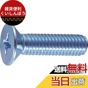 トラスコ中山(TRUSCO) 皿頭小ねじ ユニクロ 全ネジ B020830 M8×30 30本入 x 10パック x 【ケース販売】