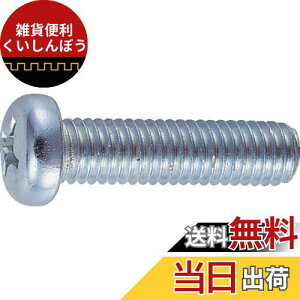 TRUSCO(gXR) ixlW jN SlW M4×45 85{ B01-0445 × 5PKyP[X̔z