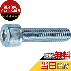 gXRR(TRUSCO) Zpt{g XeXSlW B440305 M3×5 50{ x 10pbN yP[X̔z