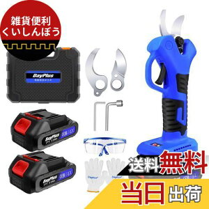 DayPlus d d΂ ΂ doT~  R[hX ؒfa25mm 21V obe[2t }؂d͂  ʎp  |pp [P[X \n {