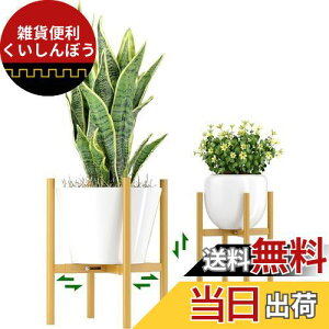 EKNITEY ���߉\�ȃt�����[�X�^���h,��20-30cm�܂Œ����\,�������O�t�����[�X�^���h,���^���v�����g���b�N,�ԑ� ������� ���X�^���h1��(�S�[���h)