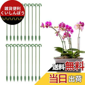 Coollooda |xy20{gZbgzϗtx Ax Ԃ ϗtA xI Ԏx K[fjO  AT|[g K[fjO ƒ؉ _Ɨp |p O[ 27cm