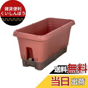 xXgR v^[  ybg{gŎ LX^[t { 650^ eRb^ MA-4204