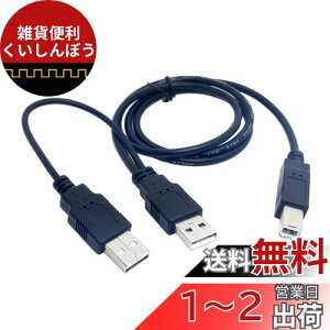 cablecc fAUSB 2.0IXWBIXYP[u 80cm v^[&XLi[&OtHDDP[uCCp