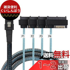 Cablecc 36s Mini SAS SFF-8087 zXg4 SFF-8482 ^[Qbg SAS n[hfBXNSATAdP[u 100cm