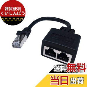 CERRXIAN RJ45 CAT6 12X\Pbg|[gLANC[Tlbglbg[NXvb^JvA_v^P[ui20CMj