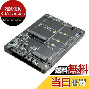 CableCC 2C1R{ M.2 NGFF BL[ & mSATA SSD to SATA 3.0 A_v^[Ro[^[P[XGN[W
