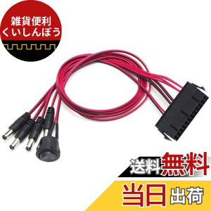 waves ATX dp 12V o P[u 24P  DC 2.1mm ×4 XCb`t