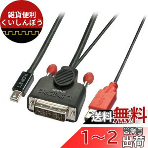 LINDY DVI-D - Mini DisplayPortϊP[uAUSBdP[utA5m(^:41999)