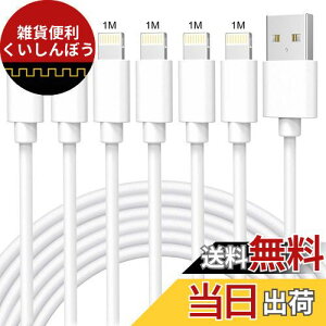 iPhone [dP[u 6{Zbg1M CgjOP[u }[d ACtH[d LightningP[u fh~ ϋv fh~ iPhone14 13 12 11 8 7 6 SE [dP[u iPhone Max XR XS Airpods iPad iPod tou