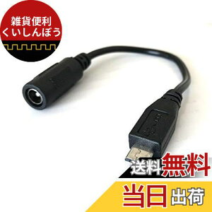 Access DC電源 変換ケーブル マイクロUSB オス/メス 外径5.5mm 内径2.1mm DY18