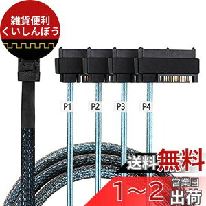 Cablecc~jSASSFF-8643zXg4SAS29sSFF-8482^[QbgfBXN6Gbpsf[^T[o[RAIDP[u50CM