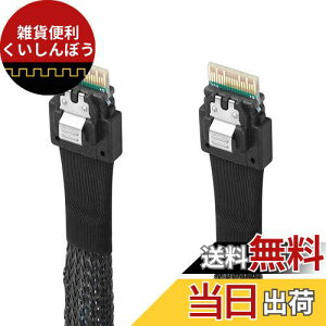 Twozoh SAS SFF-8654 to SFF-8654P[u SAS SFF-8654P[u 38sT[o[HDDf[^]P[u T[o[/f[^Xg[W/[NXe[Vp 1M Kis