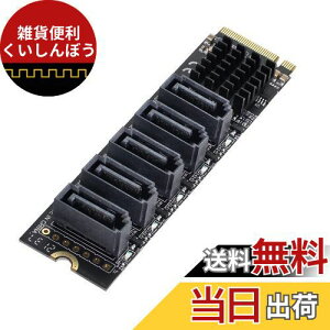 cablecc NGFF NVME M-Key PCI Express - SATA 3.0 6Gbps 5|[g A_v^[ Ro[^[ n[hhCugJ[h JMB585 2280 Black M-key to 5 SATA