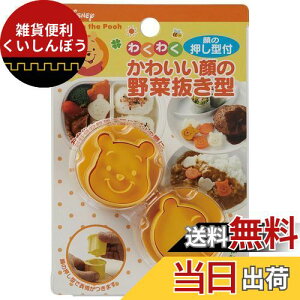 XP[^[ (skater) ؔ^ ܂̃v[ fBYj[ { LKVN1-A