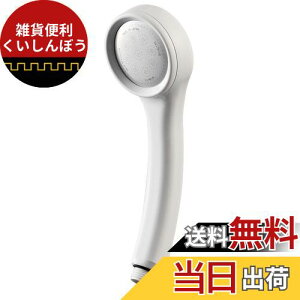 SANEI(サンエイ) シャワーヘッド 節水 レイニーベーシック シャワー穴0.3mm 肌触り 浴びごこちやわらか ホワイト PS300-80XA-MW2