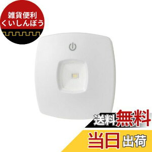 エルパ (ELPA) LEDプッシュライト LEDライト 照明 連続点灯約60時間 屋内用 乾電池式 DOP-905L