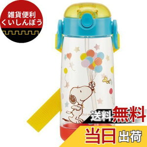 XP[^[(Skater) qp  NA{g Xg[t Xk[s[ fBYj[ 480ml PDSH5