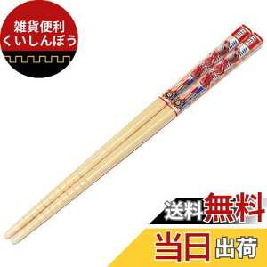 XP[^[ (skater)  | 16.5cm g~J 19 { ANT2-A