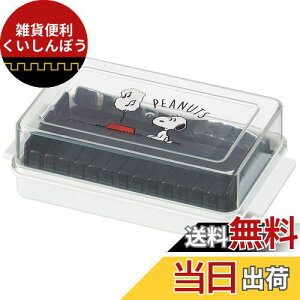 XP[^[(Skater) o^[P[X o^[e o^[Jb^[ KCht Xk[s[ BTG1-A