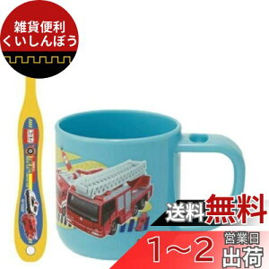 XP[^[ (skater) uVZbg uV Zbg X^ht Rbv 3-5ˉp g~J 19 180ml 14.5cm KTB5