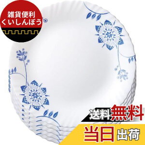 iwaki(CL) ϔMKX H ϔMM KXH Oht[ M 25cm ×5_Zbg dqWΉ B22222-GF