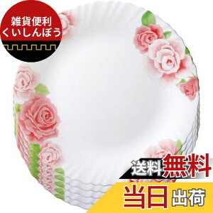 iwaki(CL) ϔMKX H ϔMM KXH [Y M 25cm ×5_Zbg dqWΉ B22222-RS